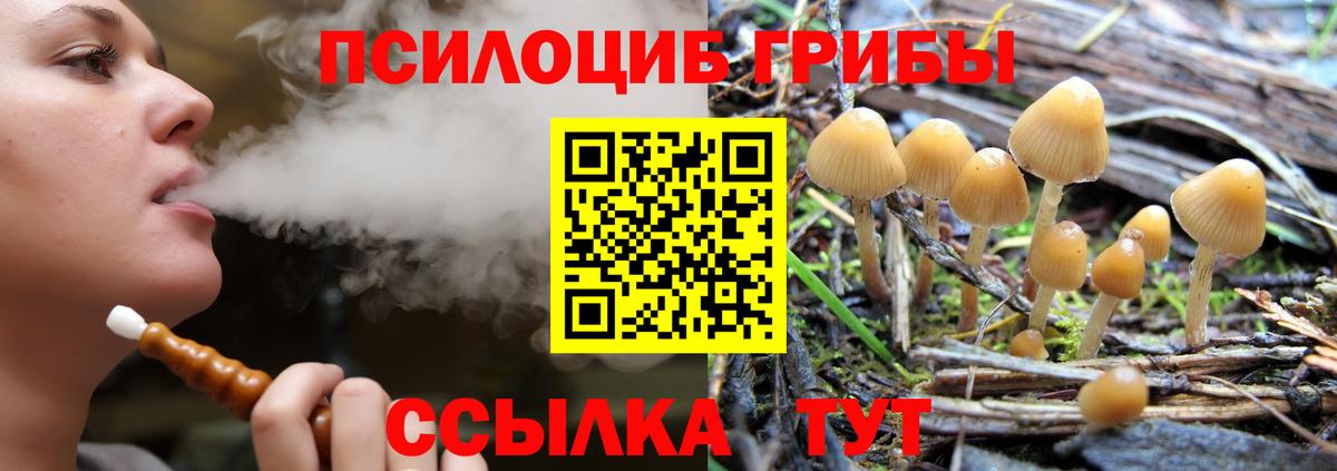Галлюциногенные грибы Psilocybine cubensis  Вход с VPN  Белореченск  Галлюциногенные грибы мухоморы 